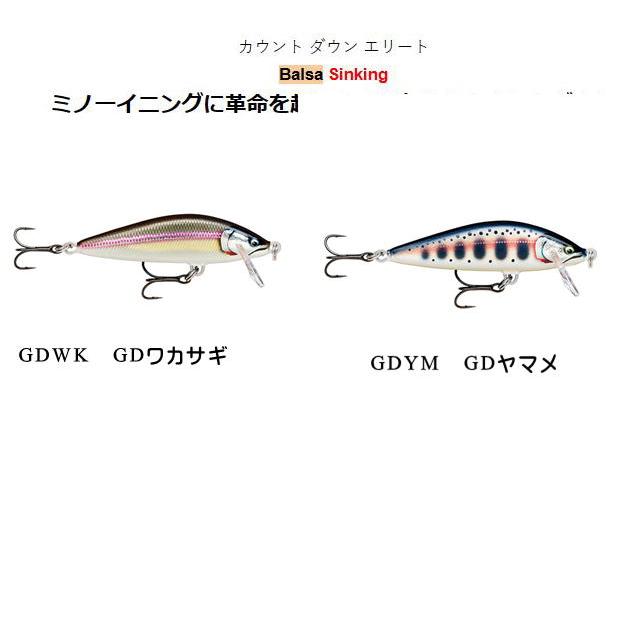 RaPaLa（ラパラ） カウントダウンエリート CDE35 【メール便（ゆう
