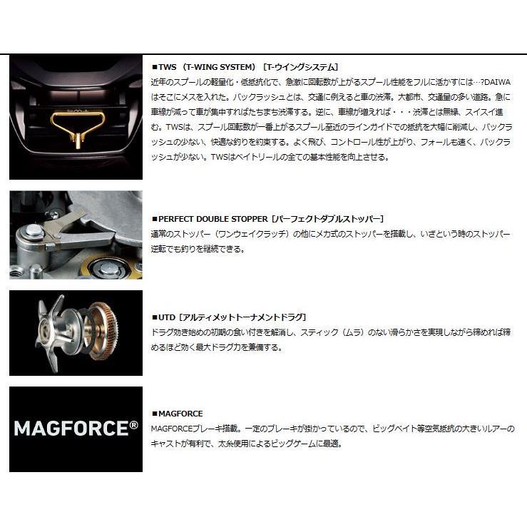 DAIWA（ダイワ） 在庫限り 21 タトゥーラ TW 300XH 右ハンドル仕様