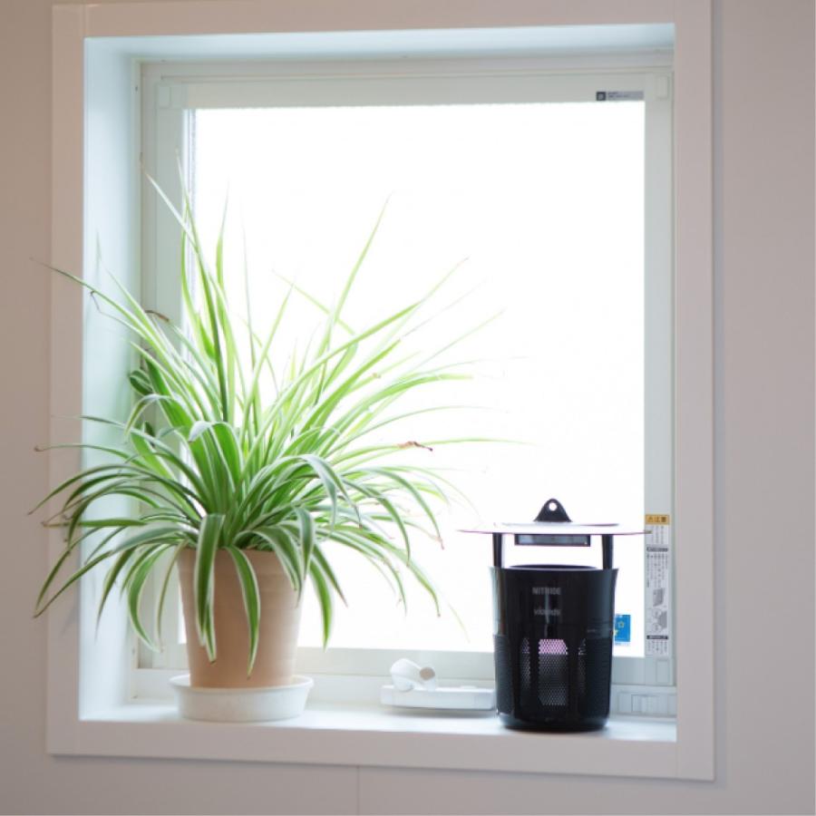 NITRIDE モスピュア IS1 / 家電 健康家電 蚊取り |  | 05