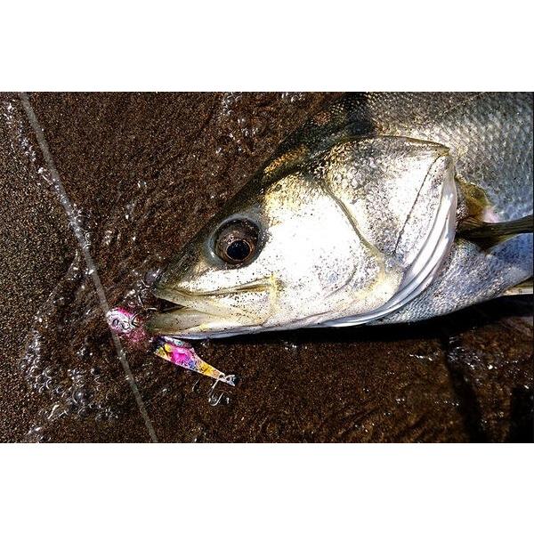 Abu Garcia（アブガルシア） ソルティーステージ 鉄スタ 24g 80mm