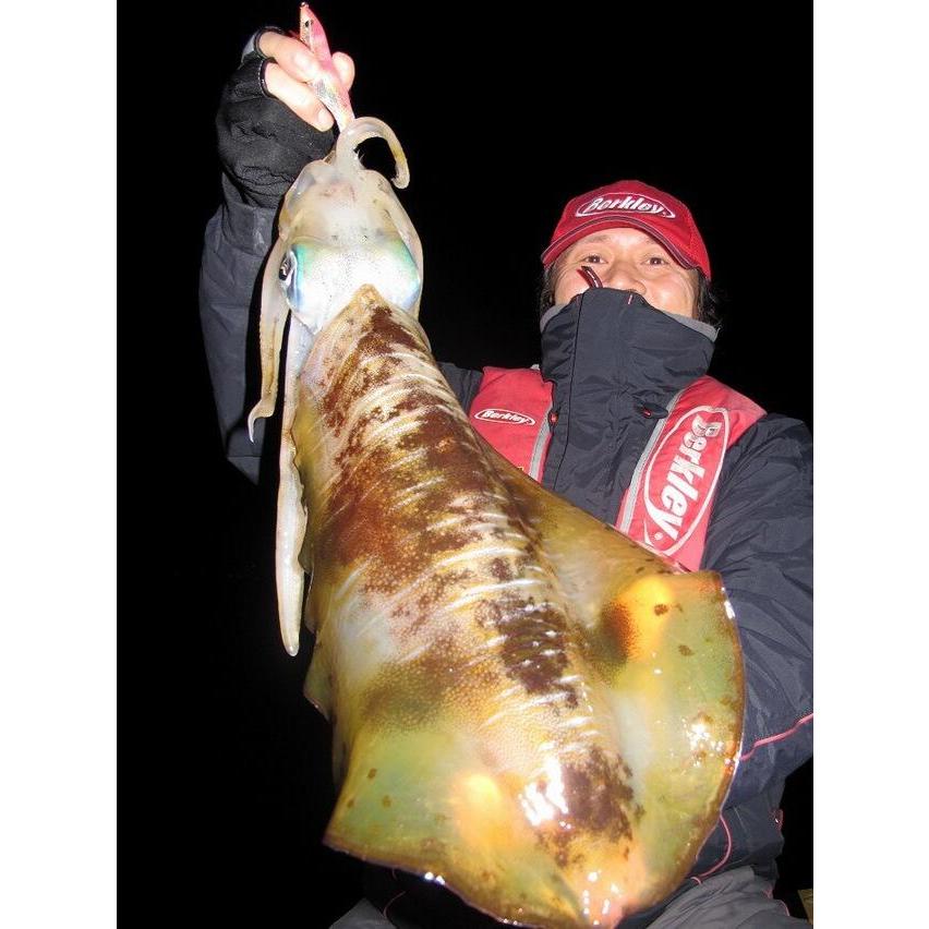 ロッド Salty Style Eging STES-832MH-KR Salty Style Eging (ソルティースタイル エギング)｜AbuGarcia