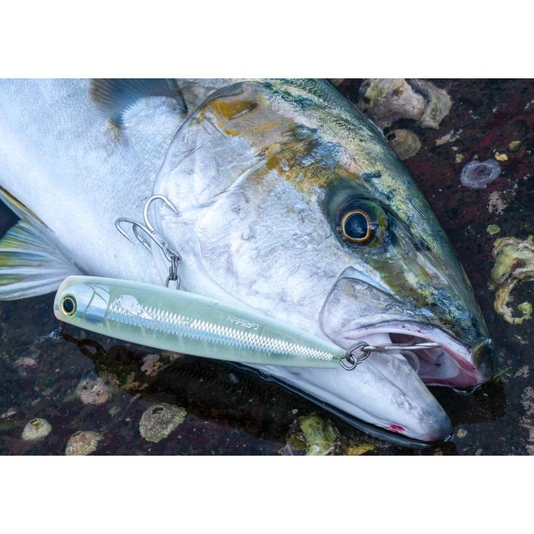 ヤマシタ/ヤマリア ラピードF130ネオンブライト 30g ソルトルアー