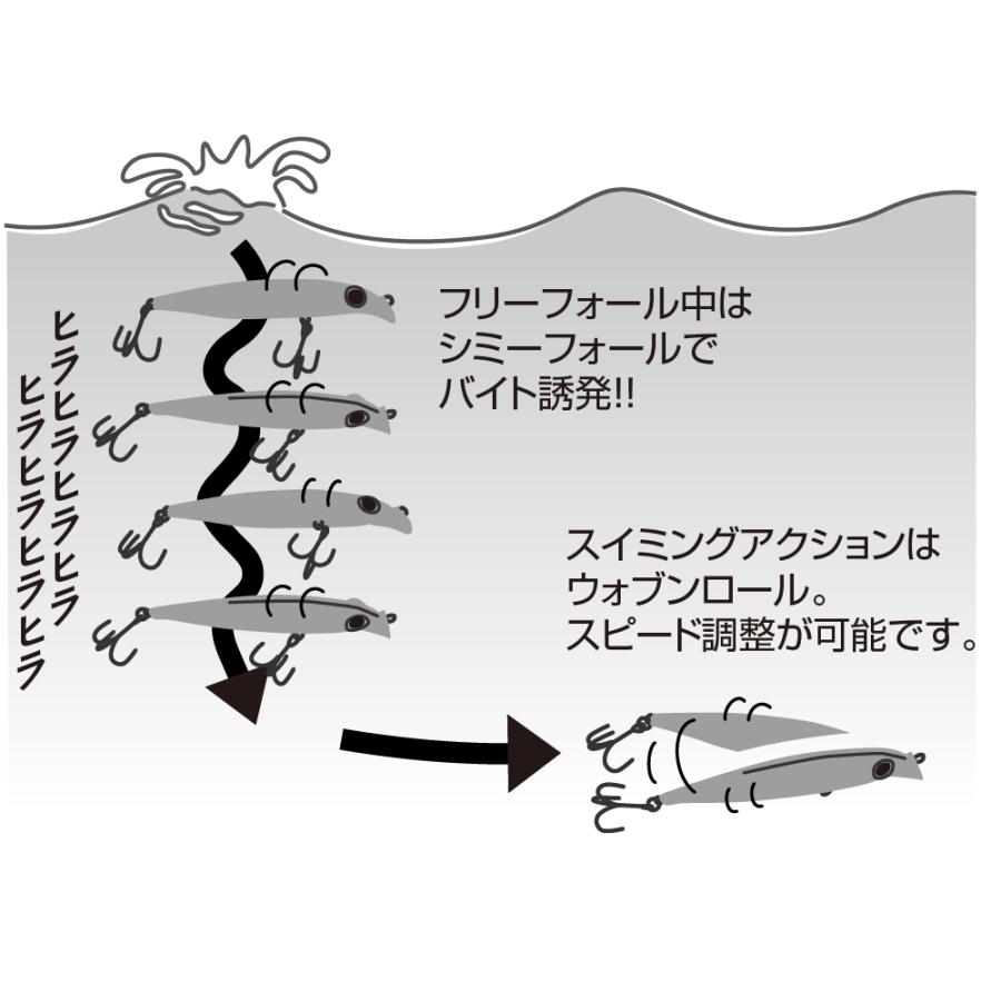 AquaWave アクアウェーブ/コーモラン 飛ブンダーZ 110S 40g
