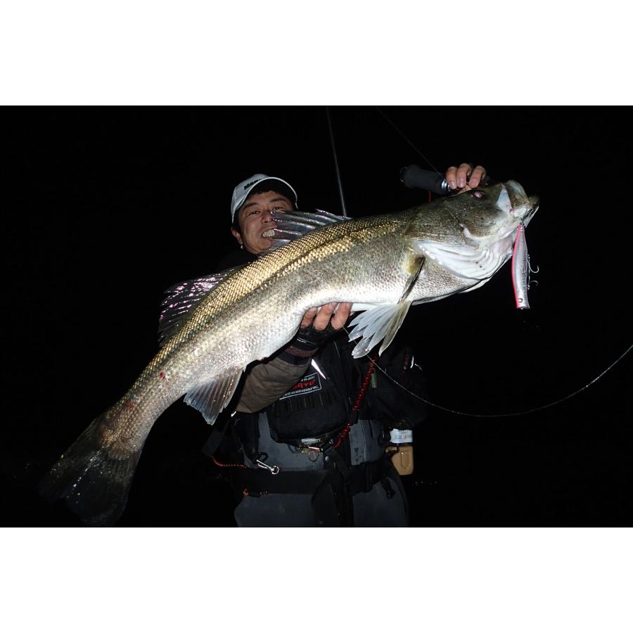 Megabass メガバス/MEGABASS カゲロウ124F 124mm 22g