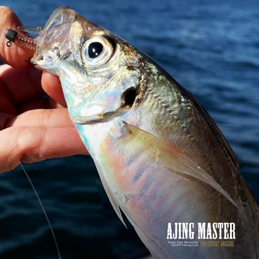 バリバス・VARIVAS アジングマスター エステル 200m 0.2, 0.3, 0.4号 1.05, 1.4, 2.1Lbs ポリエステルライン国産・日本製 アジ・メバルライトゲームトラウト | VARIVAS | 08
