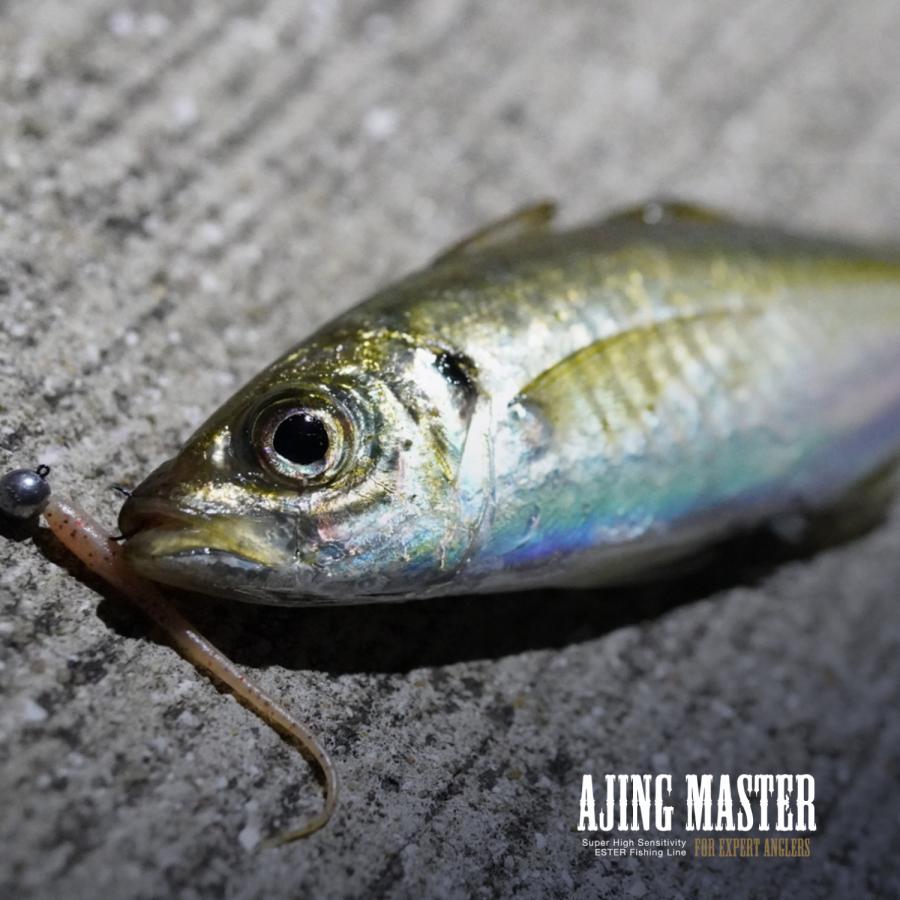 マハリシ maharishi パンツ　ドラゴン　スカル　アイスブルー 179578547.jpg?cmsp_timestamp=