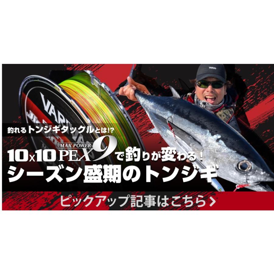 VARIVAS バリバス/VARIVAS アバニ ジギング 10×10 マックス VARIVAS バリバス/VARIVAS アバニ ジギング 10×10 マックス