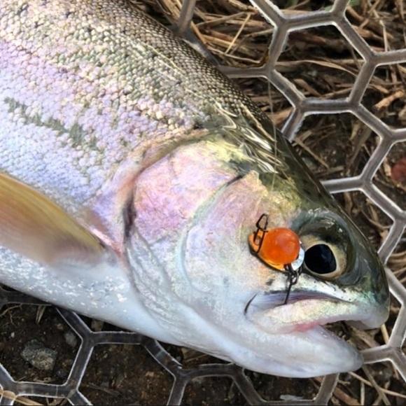魚矢/DW 一粒いくら トラウト管釣り 管理釣り場 ハイブリッドスプーン