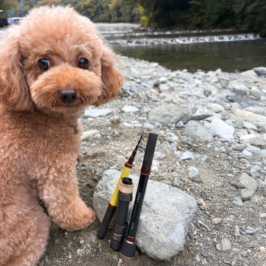tailwalk（テイルウォーク） OUTBACK PUPPY S58UL-T ルアーロッド