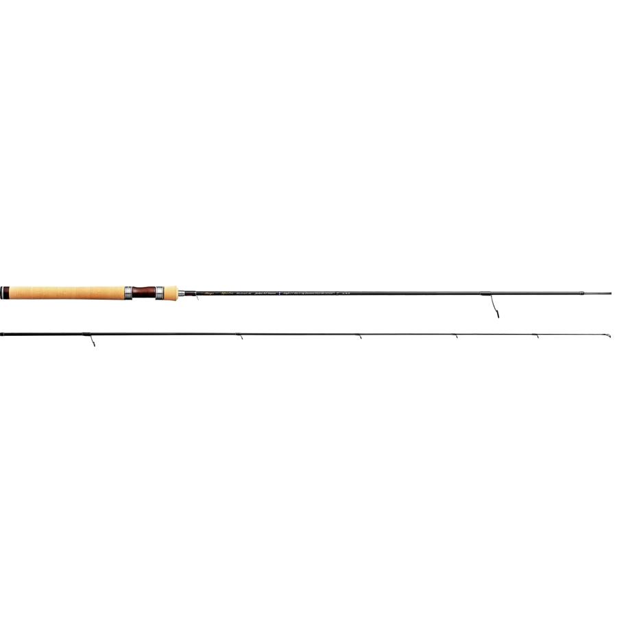 TENRYU (2026年新製品・送料無料)天龍/TENRYU レイズ スペクトラ