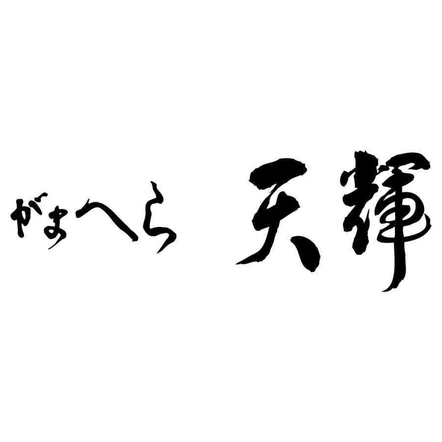Gamakatsu（がまかつ） がまへら 天輝 九 2.7m 20025 へら竿 淡水竿 並