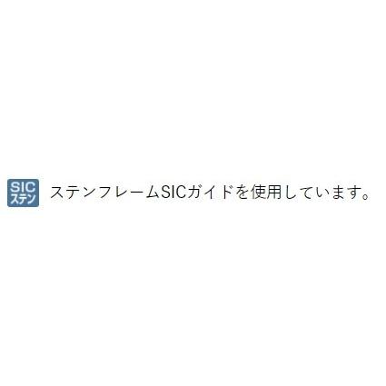 LUXXE (送料無料)がまかつ/GAMAKATSU ラグゼ/LUXXE チーター アール