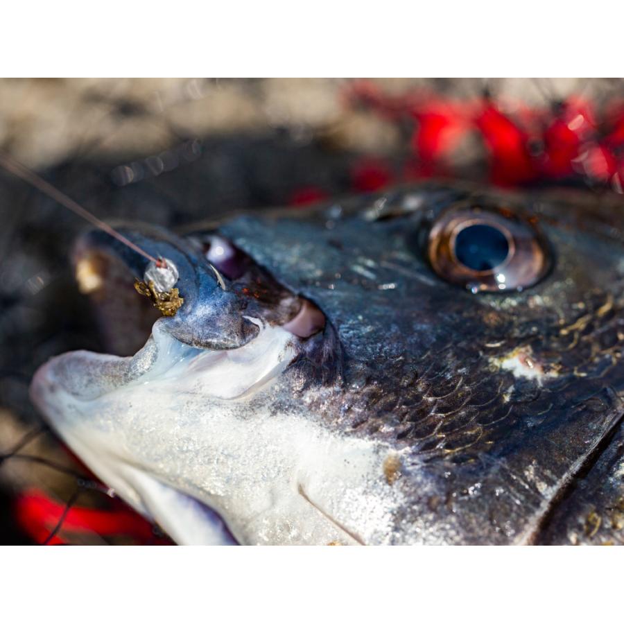 Gamakatsu（がまかつ） (送料無料)がまかつ/Gamakatsu がまチヌ へち