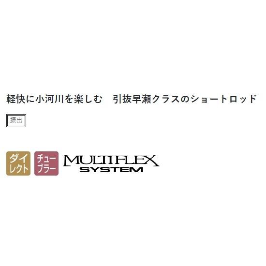 Gamakatsu がまかつ/Gamakatsu がま鮎 ショートスペシャル Gamakatsu がまかつ/Gamakatsu がま鮎 ショートスペシャル