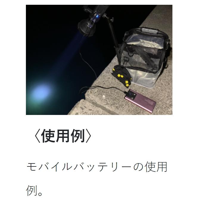 Gamakatsu がまかつ/ラグゼ サーチライト LESL-1501 1500 Gamakatsu がまかつ/ラグゼ サーチライト LESL-1501 1500
