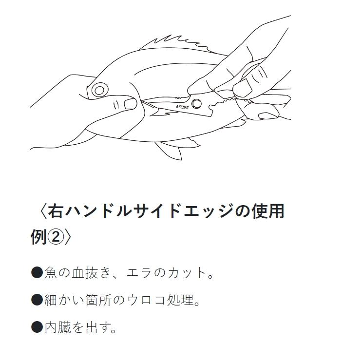LUXXE がまかつ ラグゼ マルチフィッシュシザー 21cm LE129 LUXXE がまかつ ラグゼ マルチフィッシュシザー 21cm LE129