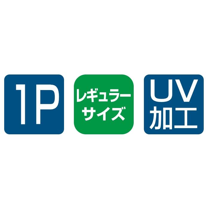 Gamakatsu (2024年春夏新製品)がまかつ/Gamakatsu フィッシング Gamakatsu (2024年春夏新製品)がまかつ/Gamakatsu フィッシング