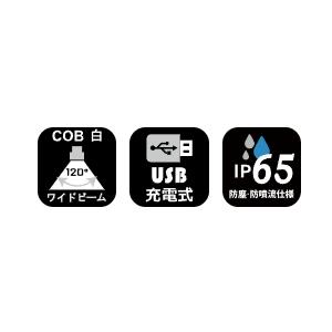 LUXXE がまかつ/ラグゼ フラッドライト LEFL2000 充電式 2000ルーメン