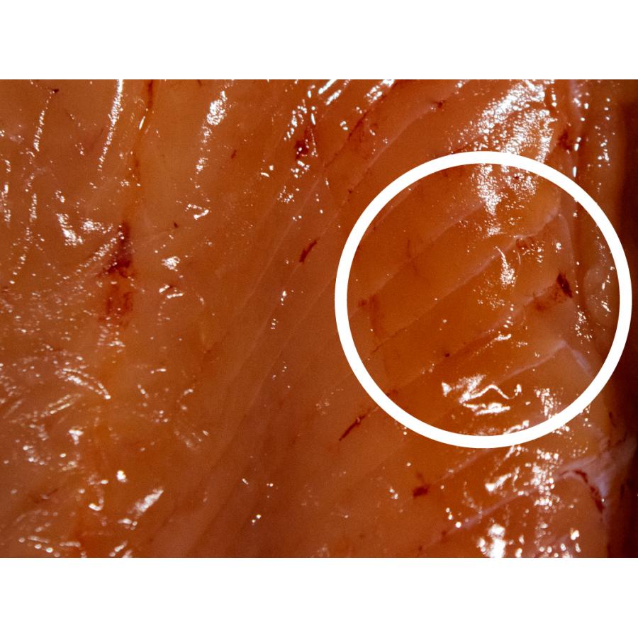 LUXXE (2025年春夏新製品)がまかつ/ラグゼ ハンディライト (UV LED