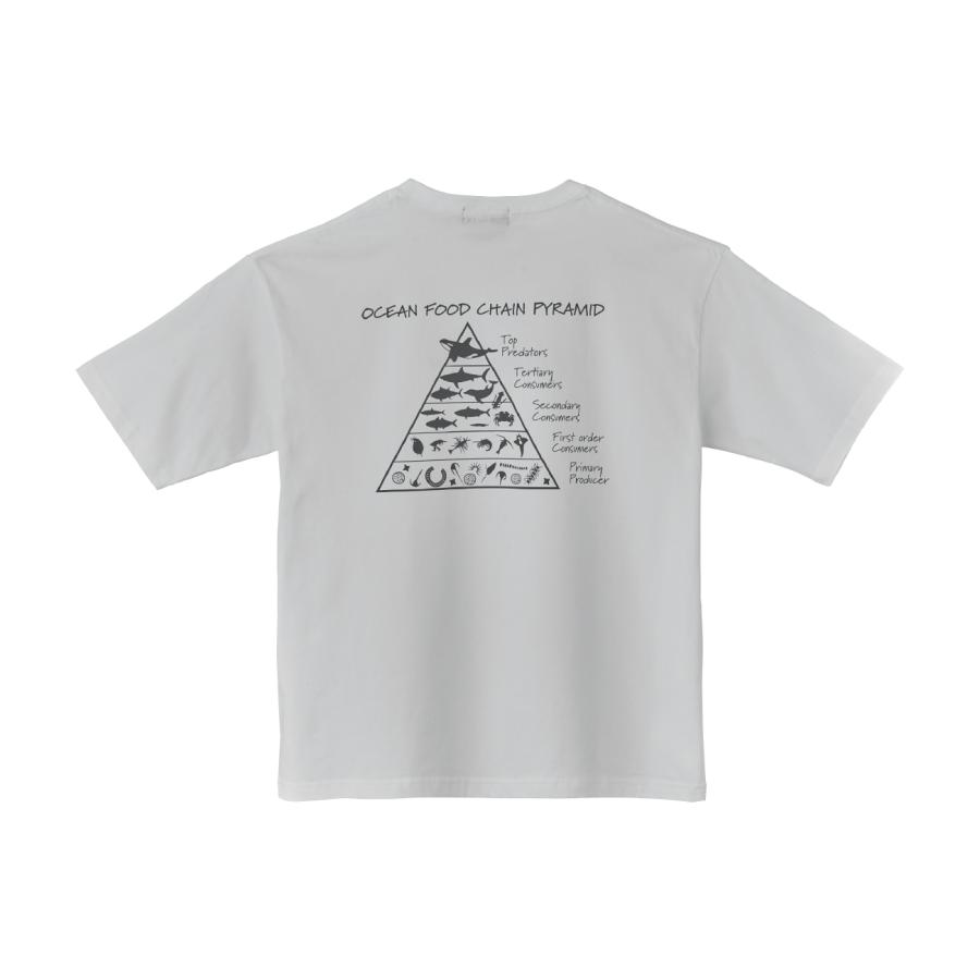 Gamakatsu（がまかつ） (2025年春夏新製品)がまかつ/Gamakatsu