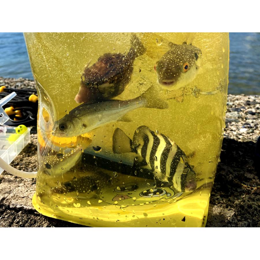 Gamakatsu (2025年春夏新製品)がまかつ/ラグゼ うきまろ お魚 Gamakatsu (2025年春夏新製品)がまかつ/ラグゼ うきまろ お魚