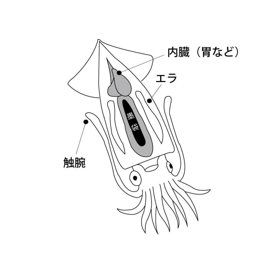 Gamakatsu (2025年春夏新製品・予約)がまかつ/ラグゼ イカ墨 Gamakatsu (2025年春夏新製品・予約)がまかつ/ラグゼ イカ墨