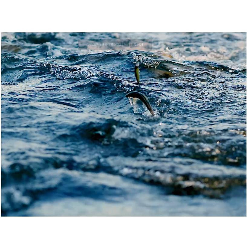 美品　LUXXE 舞香S 810 ML-solid LUXXE (2025年春夏新製品・送料無料)がまかつ/ラグゼ ラグゼ 舞香(まい