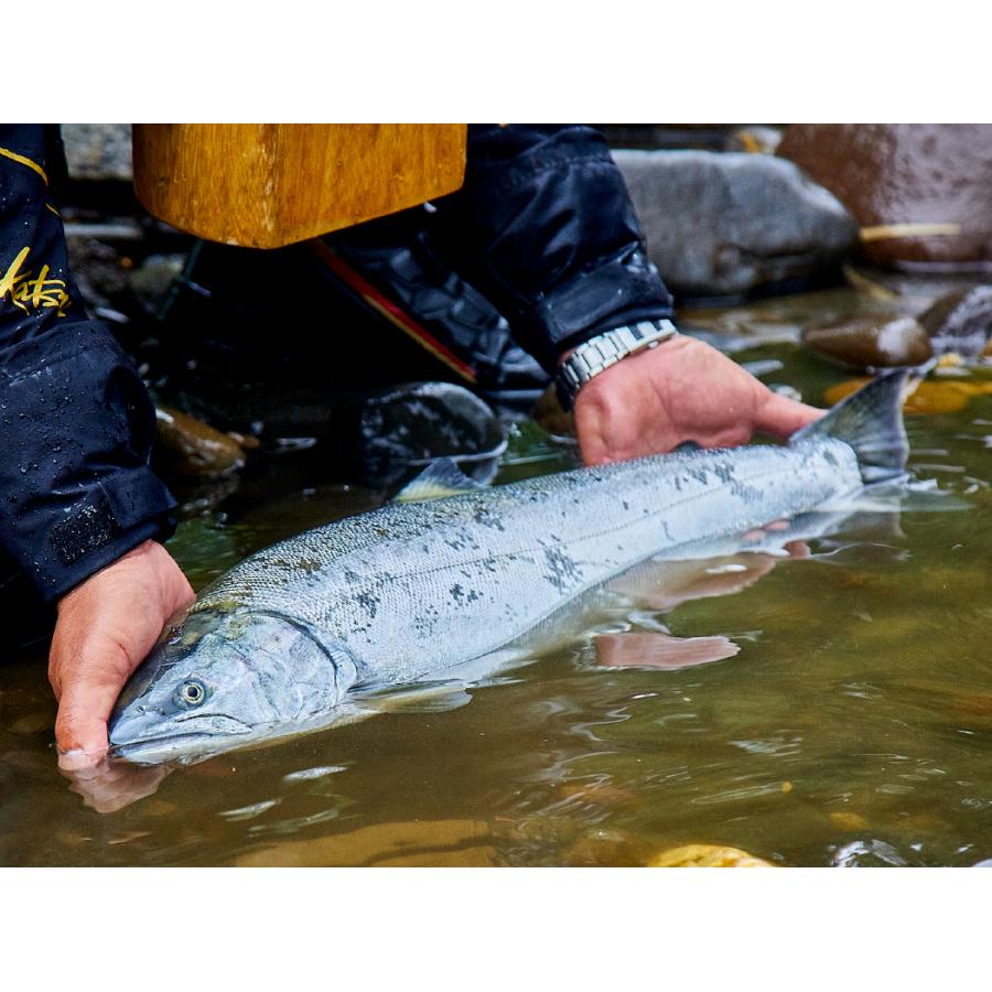 Gamakatsu（がまかつ） (2026年新製品予約・送料無料)がまかつ