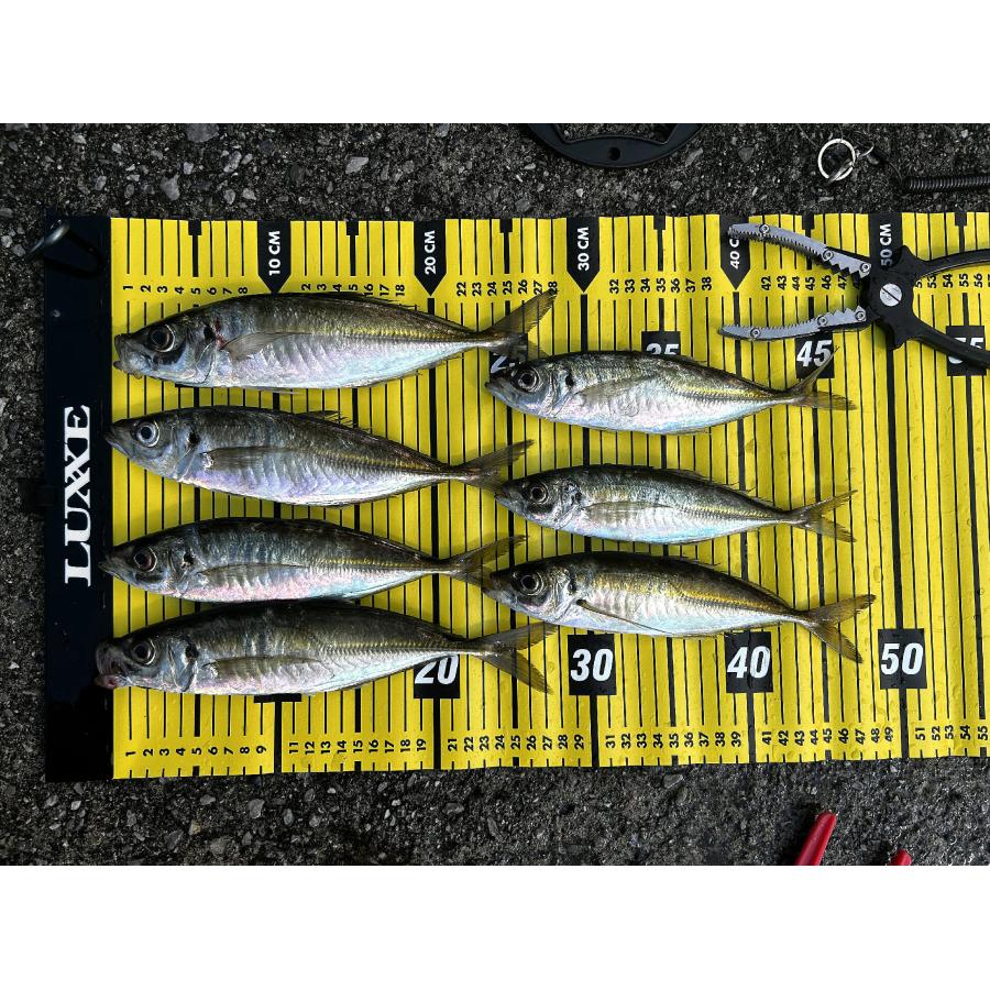 Gamakatsu (2025年新製品予約)がまかつ/ラグゼ フィッシング