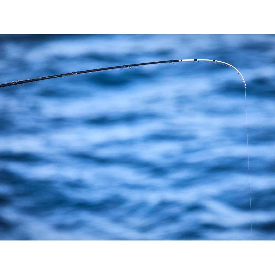 Gamakatsu（がまかつ） がまかつ/ラグゼ TT フリーク MH 175 21429