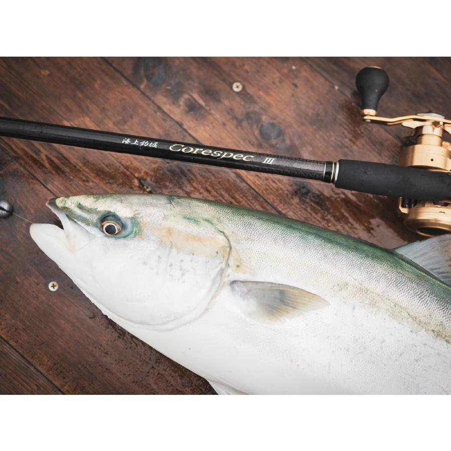 大型魚 淡水魚】大特価 ダトニオプラスワン ワイルド【1匹】(±6.5-7.5cm