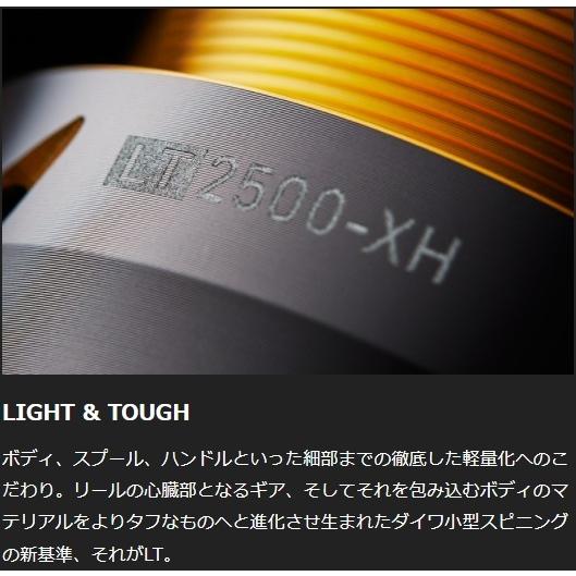 DAIWA（ダイワ） フリームス LT6000D-H スピニングリール ショアジギ