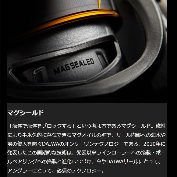 DAIWA（ダイワ） フリームス LT6000D-H スピニングリール ショアジギ