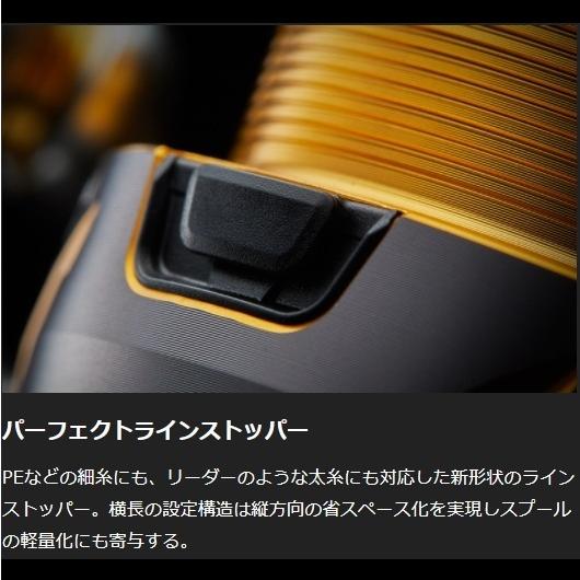 DAIWA（ダイワ） フリームス LT6000D-H スピニングリール ショアジギ