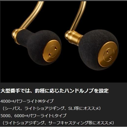 DAIWA（ダイワ） フリームス LT6000D-H スピニングリール ショアジギ 
