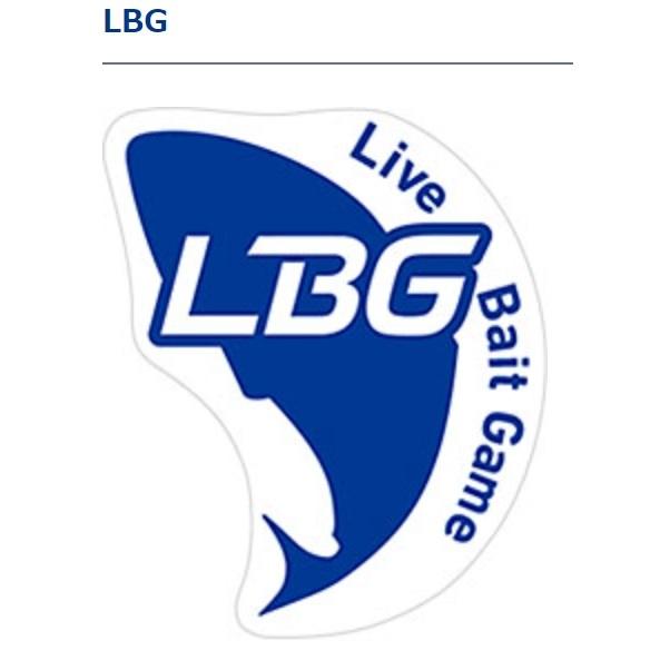 ダイワ/DAIWA 快適堤防のませ仕掛け スタンダード LBG 100cm 遊動式 S