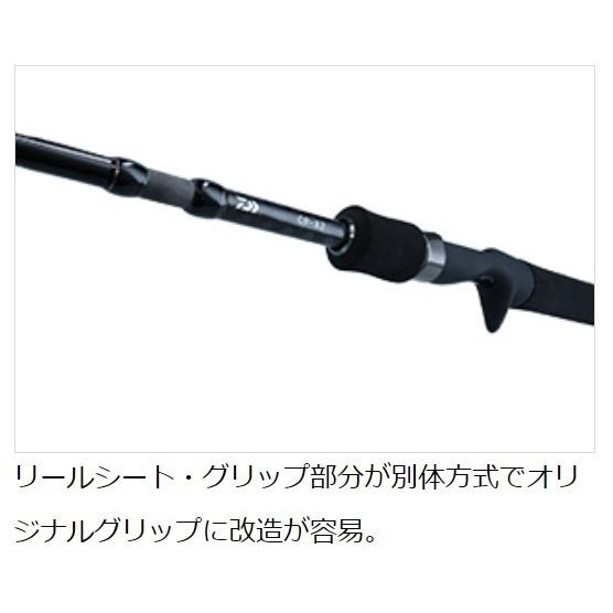 DAIWA（ダイワ） (新商品)ダイワ CP-X2 ベイトリール X2 (右ハンドル
