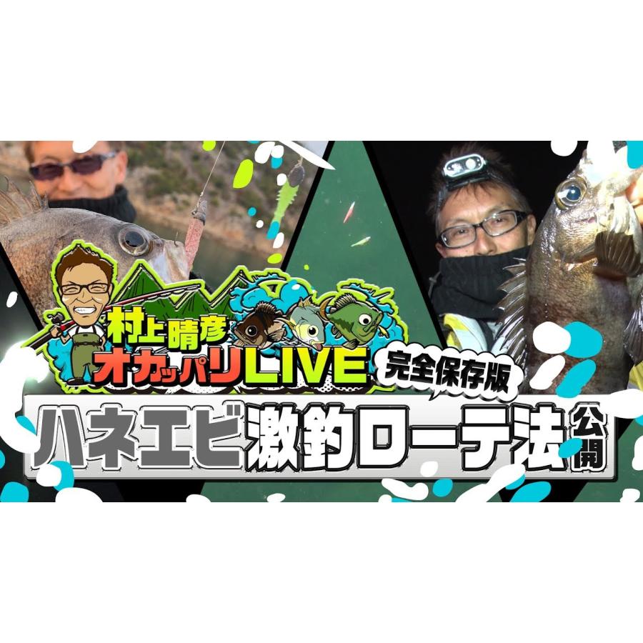 issei（一誠） 海太郎 マイクロハネエビ 1inch ライトゲーム 根魚
