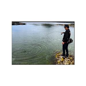 YAMAGA Blanks (送料無料)ヤマガブランクス/YAMAGA Blanks BlueCurrent