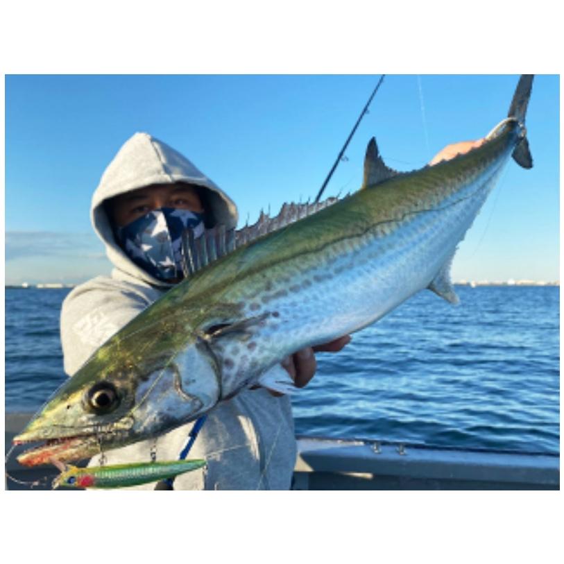 BlueBlue（ブルーブルー） ブローウィン 140J 140mm 26g シンキング