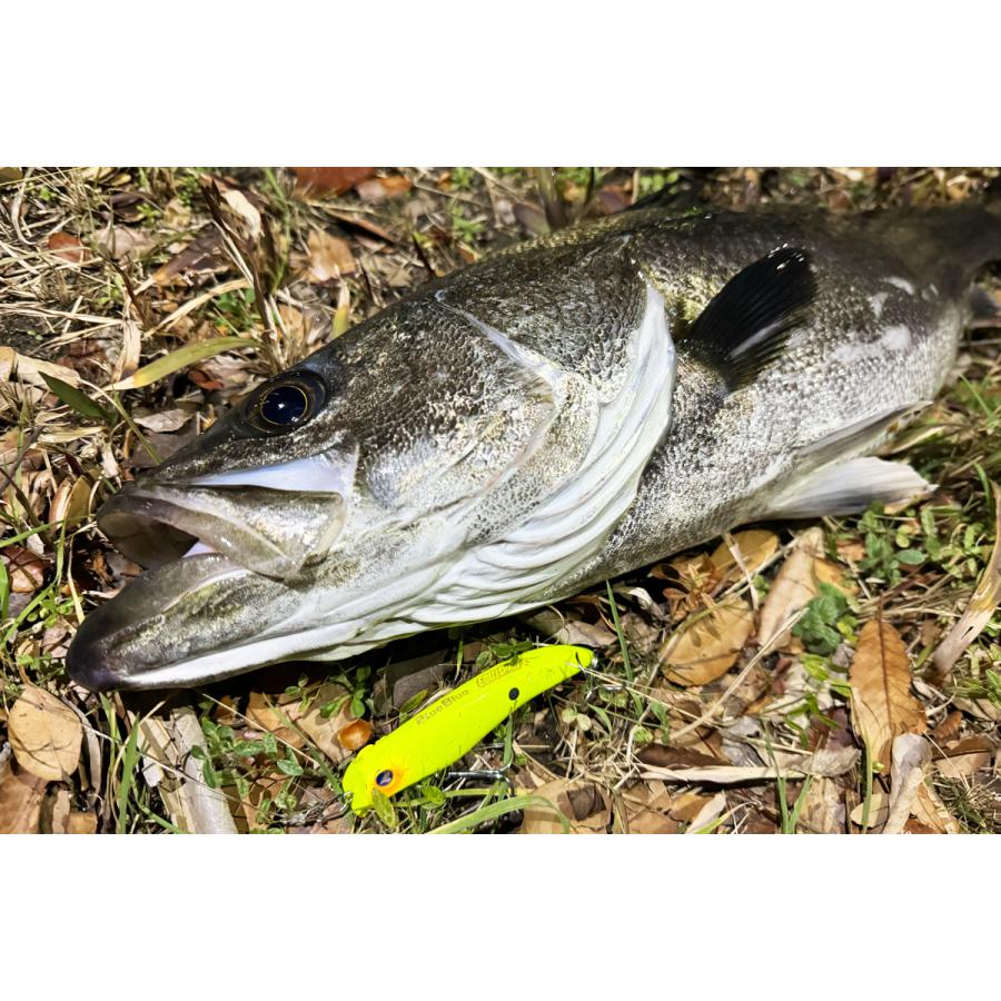 シーバス ミノー バイブレーション ホッパー 14個セット ブルーブルー アピア 楽天市場】ブルーブルー アイザー160F シーバスミノー BlueBlue