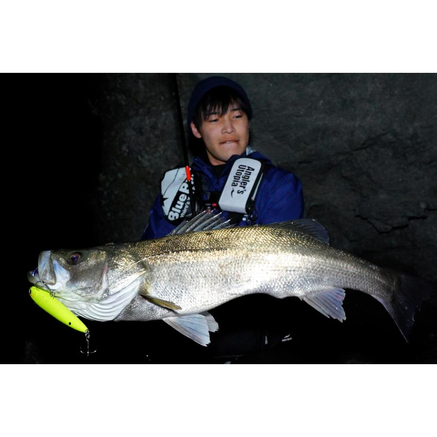 BlueBlue(釣り) ブルーブルー/BlueBlue スネコン150S 150mm BlueBlue(釣り) ブルーブルー/BlueBlue スネコン150S 150mm