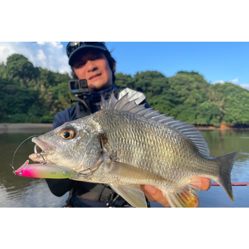 BlueBlue（釣り） ブルーブルー/Blue Blue イネムン60 60mm 6g