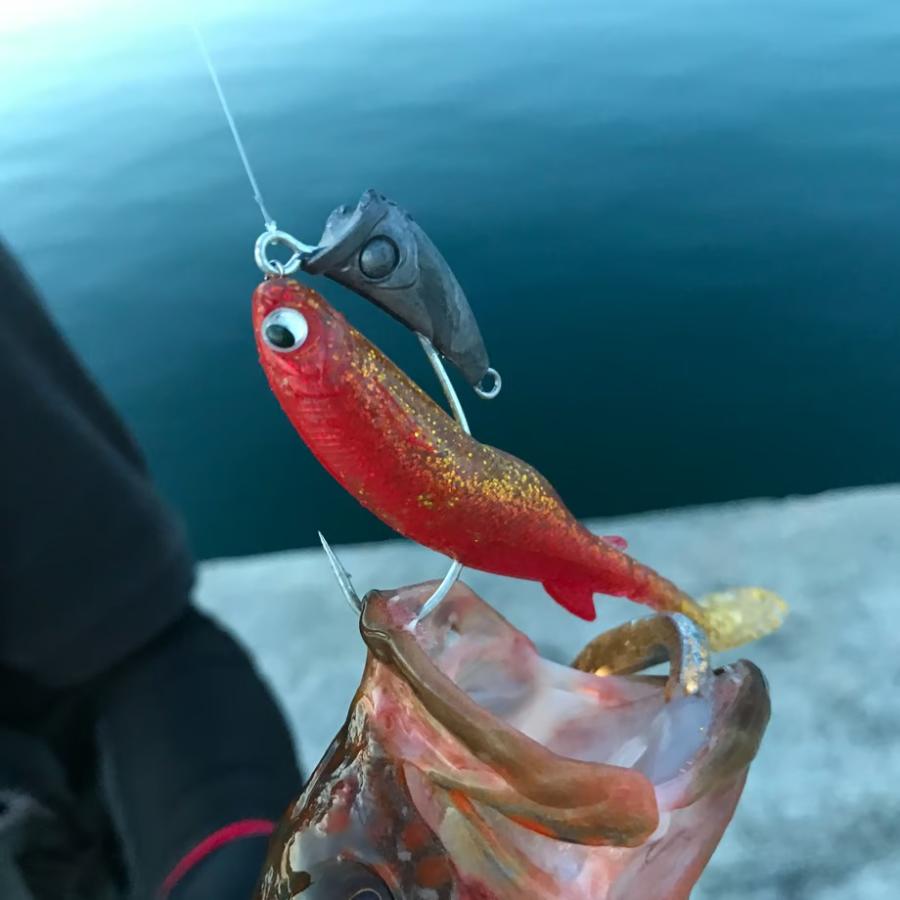RUDIE'S（ルーディーズ） ハタ喰い魚子4.0