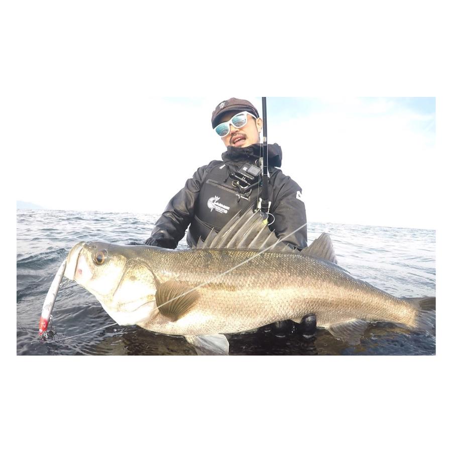 BLUE BLUE（ブルーブルー） ブローウィン！125F-Slim 14g ミノー