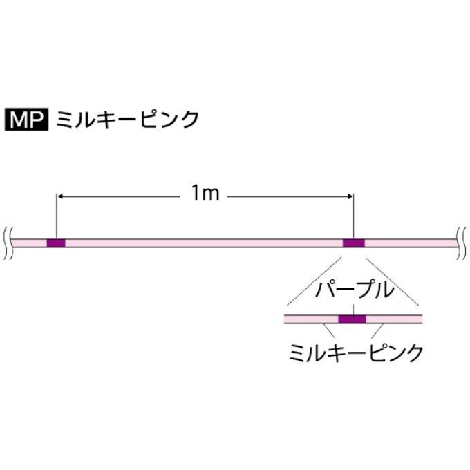 DUEL デュエル/DUEL アーマードS アジ・メバル 100m 0.2, 0.3 DUEL デュエル/DUEL アーマードS アジ・メバル 100m 0.2, 0.3