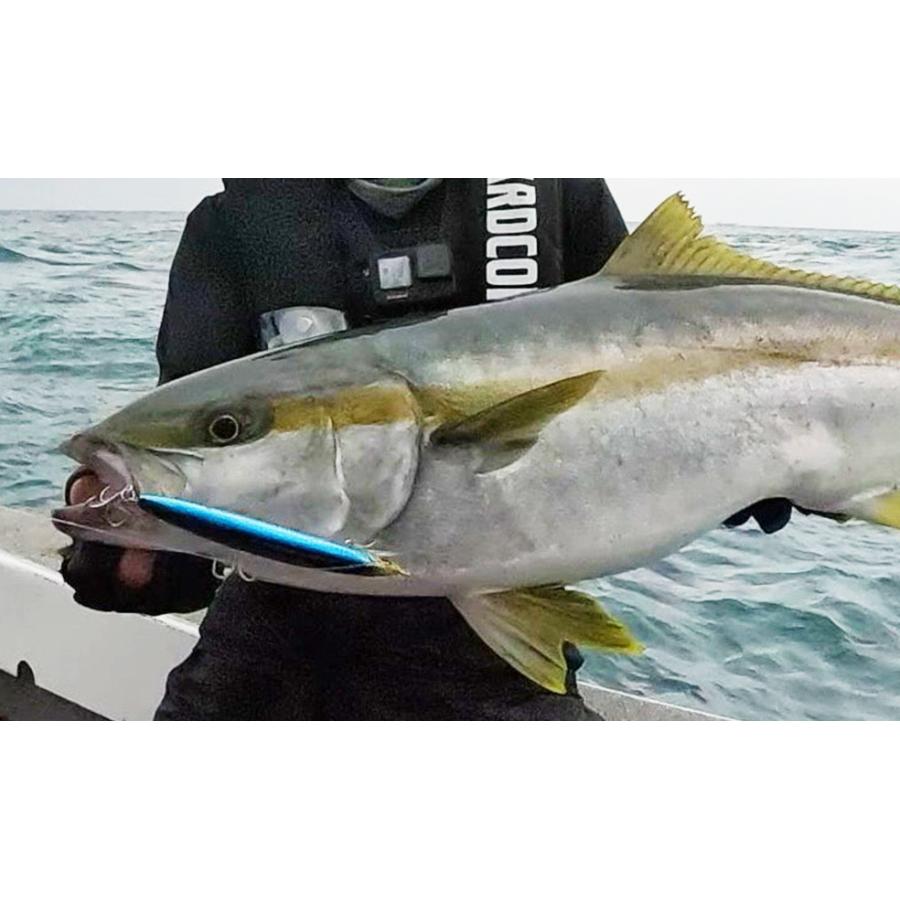 DUEL（デュエル） アイルマグネット TG ミノースリム(F) 145mm F1258