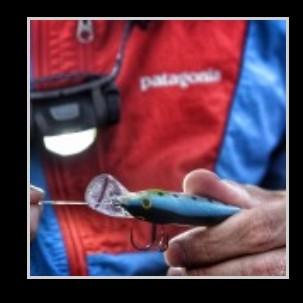 限定特価)ゼクサス ZX-S240 LEDヘッドライト 80ルーメン 電池式