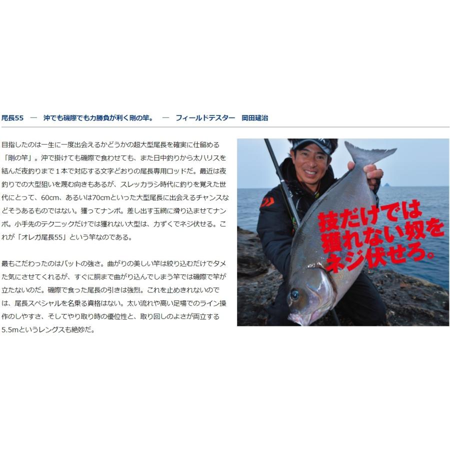 DAIWA(釣り) (数量限定) ダイワ オレガ口太57 磯竿 万能竿 DAIWA(釣り) (数量限定) ダイワ オレガ口太57 磯竿 万能竿
