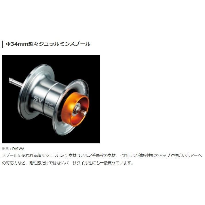 DAIWA（ダイワ） (限定特価・半額・60％OFF)ダイワ フエゴ CT 103HL 多